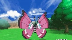 Screenshot for Pokémon X and Y - click to enlarge